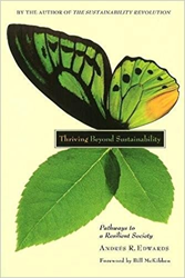 Thriving Beyond Sustainability: Pathways to a Resilient Society
