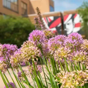 Flowers with the Coleman Center in the background