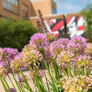 Flowers with the Coleman Center in the background