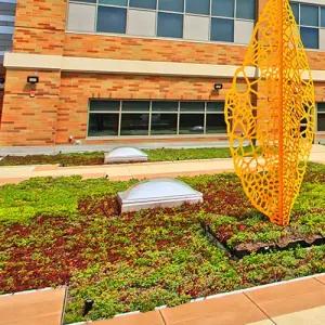 The green roof on the Integrated Technology Center building
