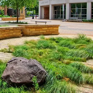 The Cleary Courtyard with the Lunda Center in the background