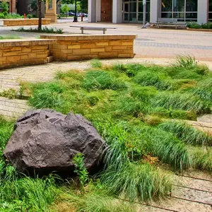 The Cleary Courtyard with the Lunda Center in the background