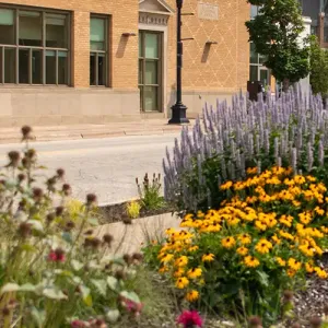 The garden in Western's Urban Greenspace