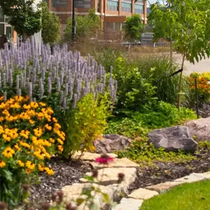 The garden in Western's Urban Greenspace