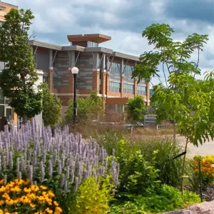 The garden in Western's Urban Greenspace