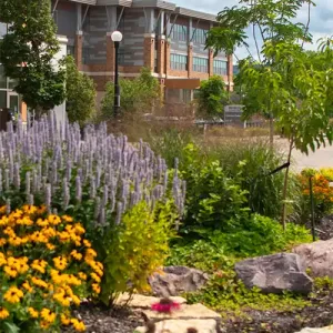 The garden in Western's Urban Greenspace