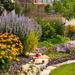 The garden in Western's Urban Greenspace