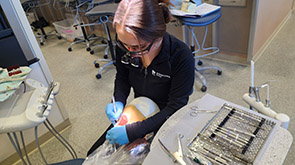 Expanded Function Dental Auxiliary image