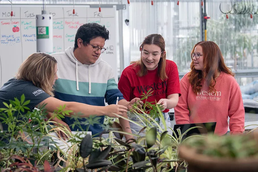 Horticulture students gather around a table of plants in a greenhouse.