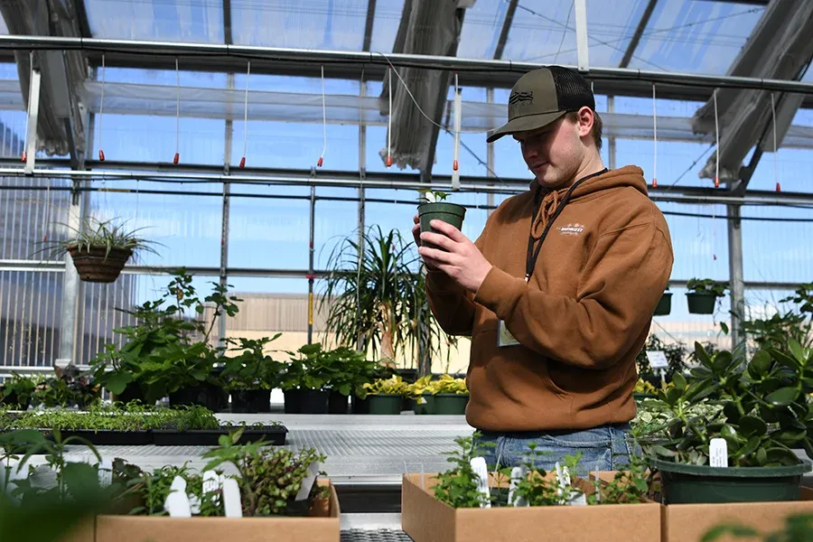 A horticulture student works with plants in a greenhouse.