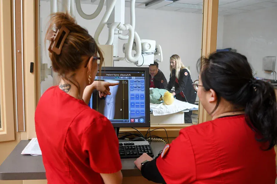 Students looking at bone on xray scan