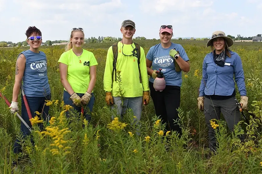 A group of Western employees volunteering with Mississippi Valley Conservancy