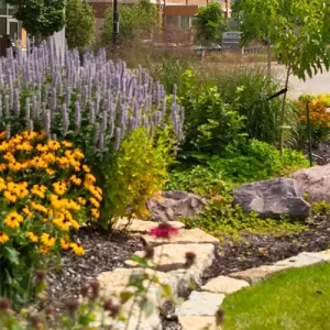 The garden in Western's Urban Greenspace