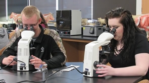Animal Science Technician image Animal Science Technician image